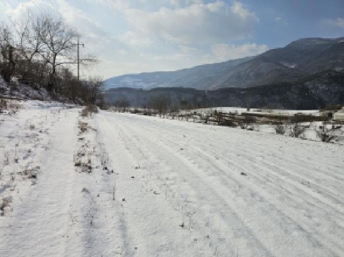 충북 단양군 영춘면 전답 경매 물건 사진 5 · 2025타경5504