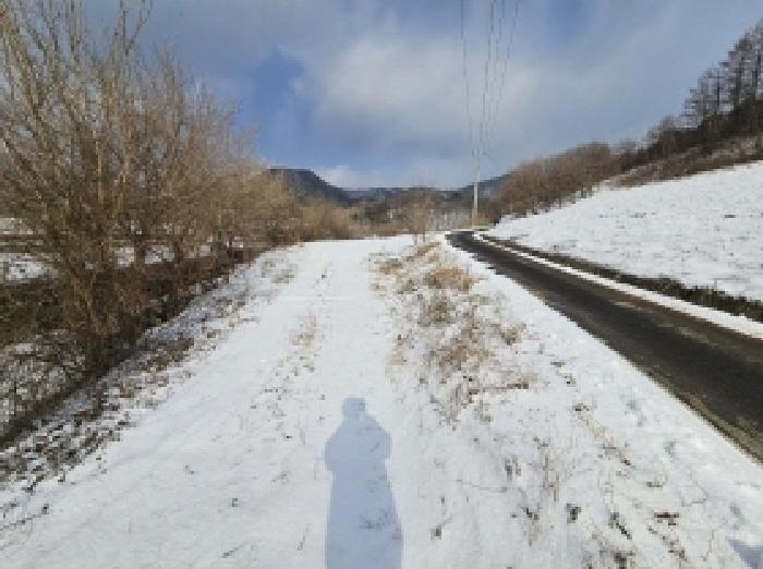 충북 단양군 영춘면 전답 경매 물건 사진 6 · 2025타경5504