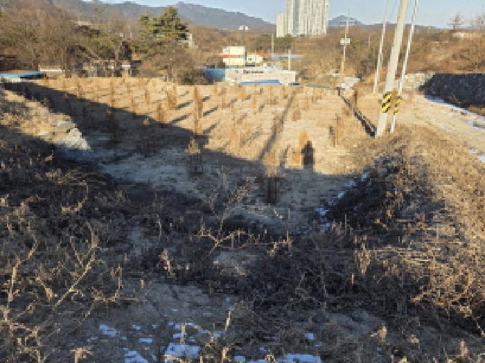 충북 제천시 수산면 전 경매 물건 사진 5 · 2026타경4