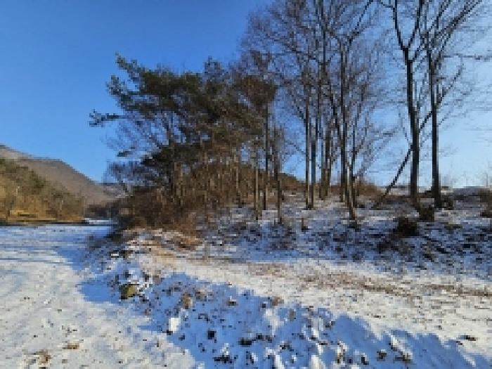 충북 단양군 어상천면 임야 경매 물건 사진