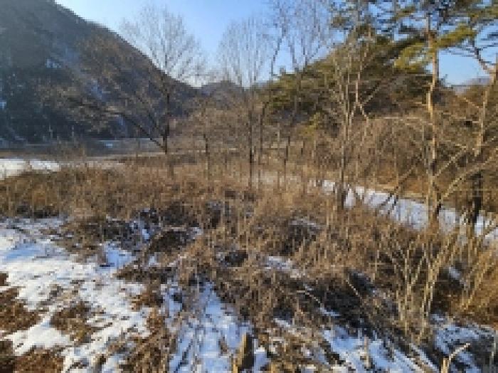 충북 단양군 어상천면 임야 경매 물건 사진 2 · 2026타경5010