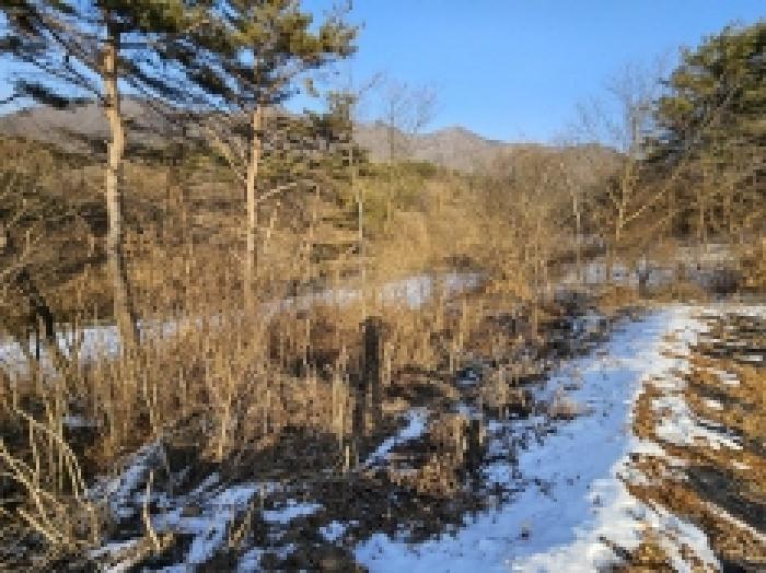 충북 단양군 어상천면 임야 경매 물건 사진 3 · 2026타경5010