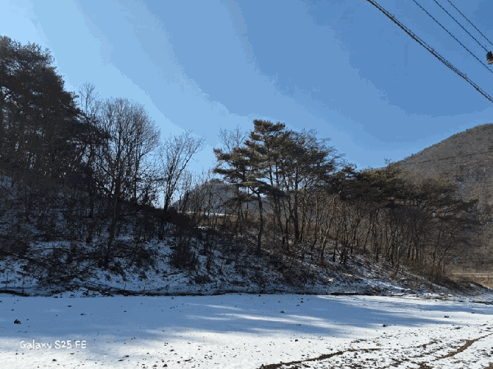 충북 단양군 어상천면 임야 경매 물건 사진 5 · 2026타경5010