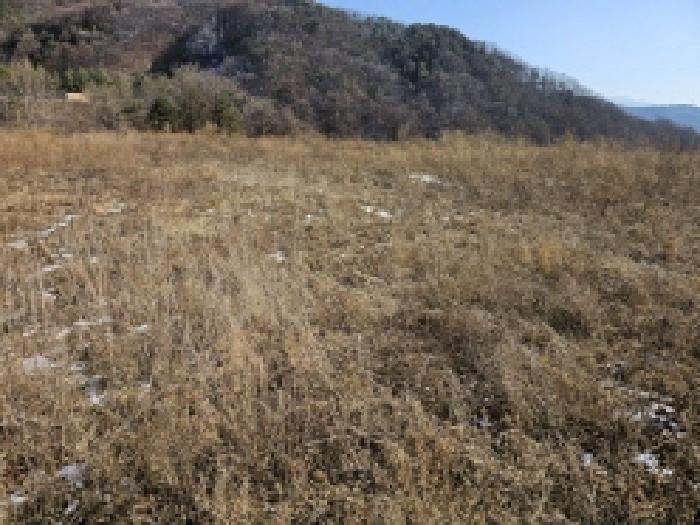 충북 단양군 적성면 임야 경매 물건 사진