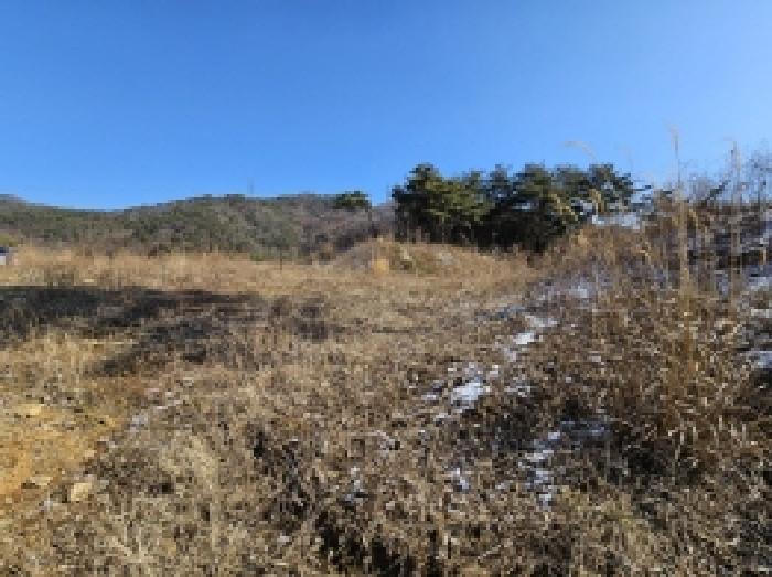 충북 단양군 적성면 임야 경매 물건 사진 3 · 2026타경5012
