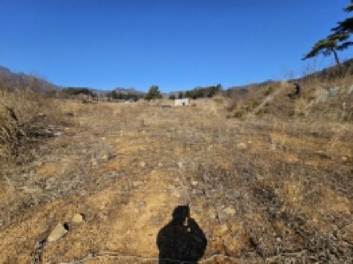 충북 단양군 적성면 임야 경매 물건 사진 4 · 2026타경5012