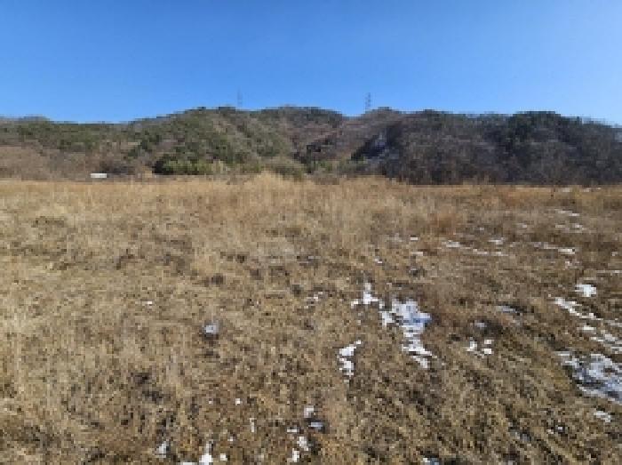충북 단양군 적성면 임야 경매 물건 사진 5 · 2026타경5012
