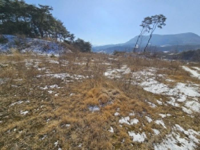 충북 단양군 적성면 임야 경매 물건 사진 6 · 2026타경5012