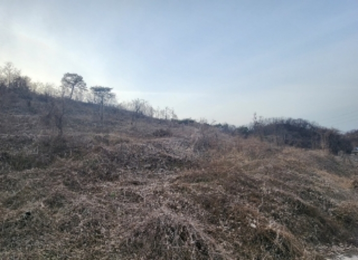 충북 영동군 양강면 공장용지 경매 물건 사진 2 · 2024타경10299