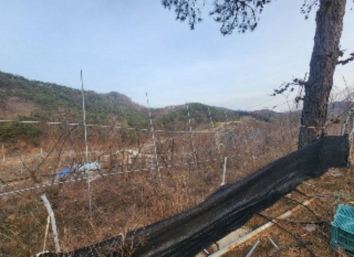 충북 영동군 양강면 공장용지 경매 물건 사진 4 · 2024타경10299