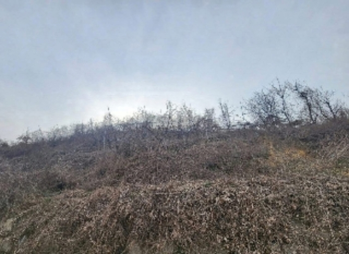 충북 영동군 양강면 공장용지 경매 물건 사진 6 · 2024타경10299