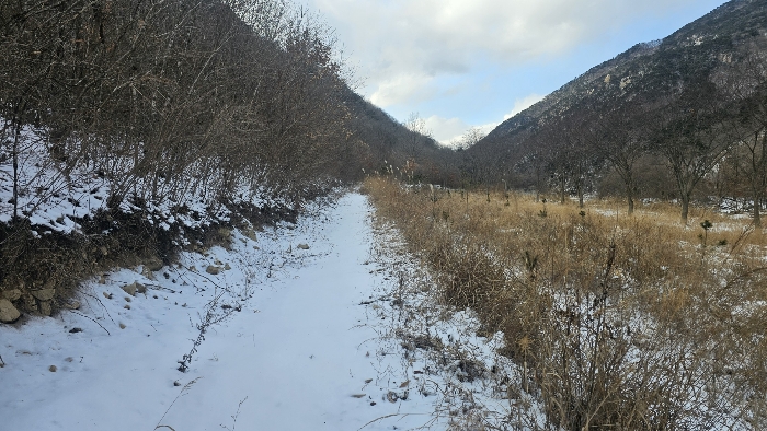 충청북도 옥천군 군서면 금산리 1 전 경매 물건 사진
