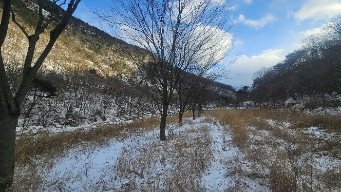 충북 옥천군 군서면 전 경매 물건 사진 5 · 2024타경11636
