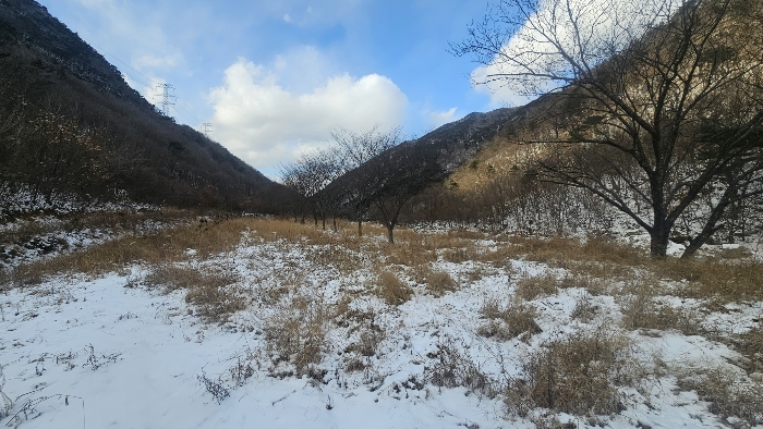 충북 옥천군 군서면 전 경매 물건 사진 6 · 2024타경11636