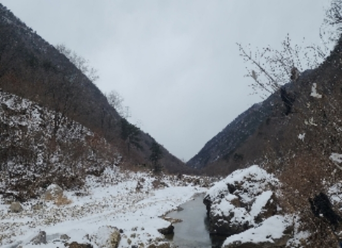 충북 옥천군 군서면 전 경매 물건 사진