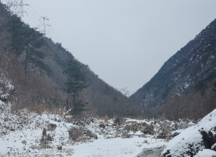 충북 옥천군 군서면 전 경매 물건 사진 2 · 2024타경11636