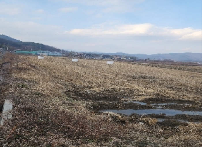 충북 영동군 매곡면 답 경매 물건 사진 2 · 2024타경11667