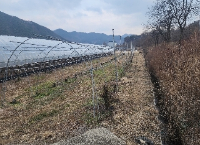 충북 영동군 매곡면 답 경매 물건 사진 5 · 2024타경11667
