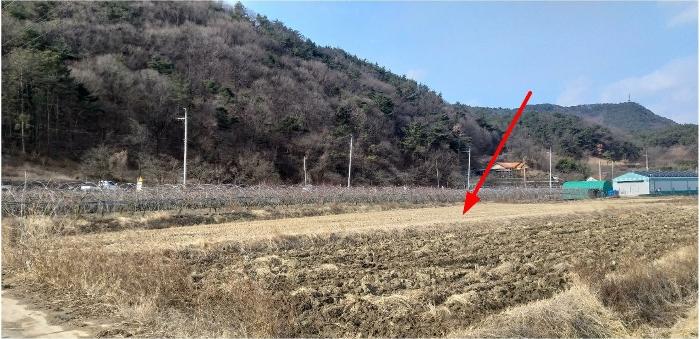 충북 영동군 매곡면 답 경매 물건 사진 6 · 2024타경11667