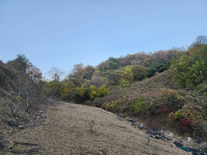 충북 옥천군 청성면 전 경매 물건 사진 4 · 2024타경841