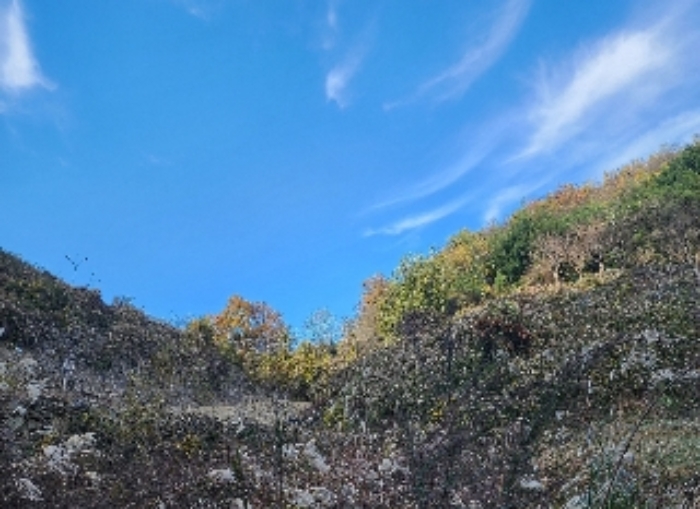 충북 옥천군 청성면 전 경매 물건 사진