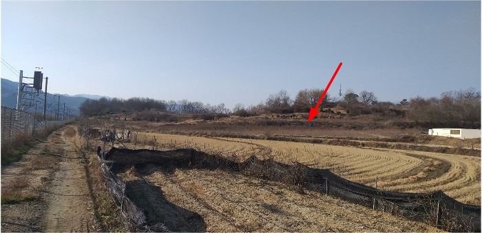 충북 옥천군 이원면 전답 경매 물건 사진 6 · 2024타경971