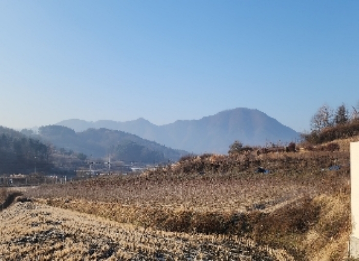 충북 옥천군 이원면 전답 경매 물건 사진