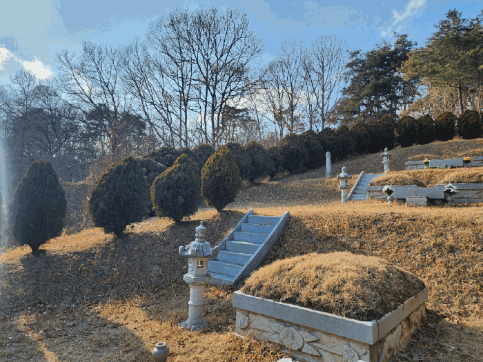 충북 옥천군 옥천읍 임야 경매 물건 사진 6 · 2025타경10104