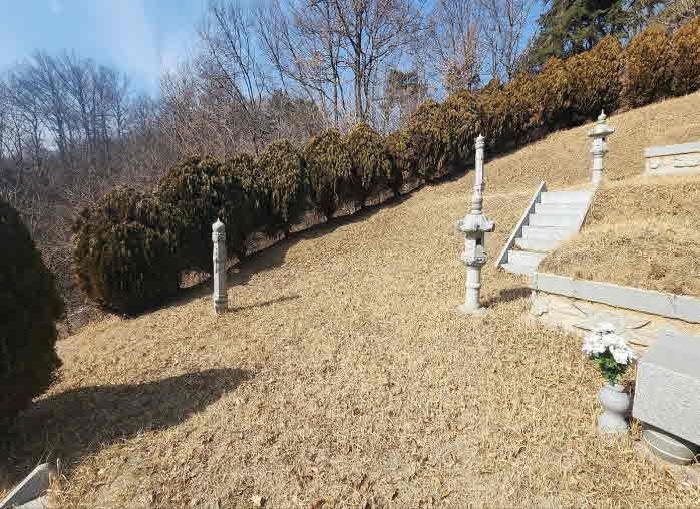 충북 옥천군 옥천읍 임야 경매 물건 사진