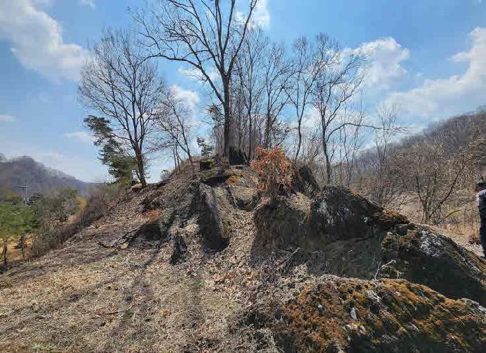 충북 옥천군 군북면 단독주택 경매 물건 사진