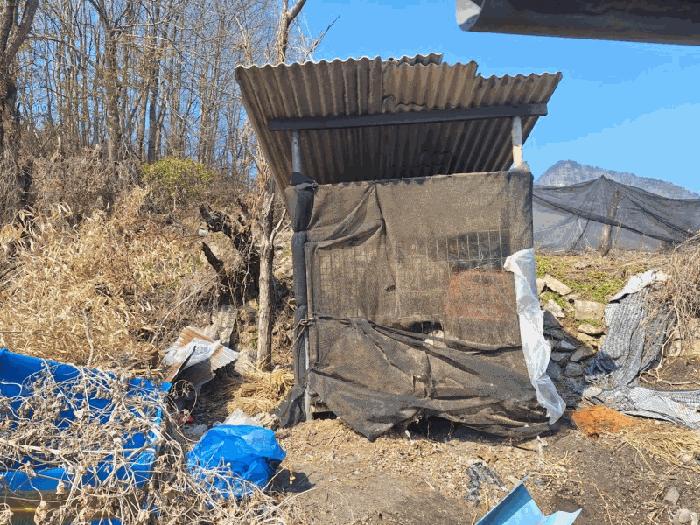 충북 옥천군 청산면 단독주택 경매 물건 사진