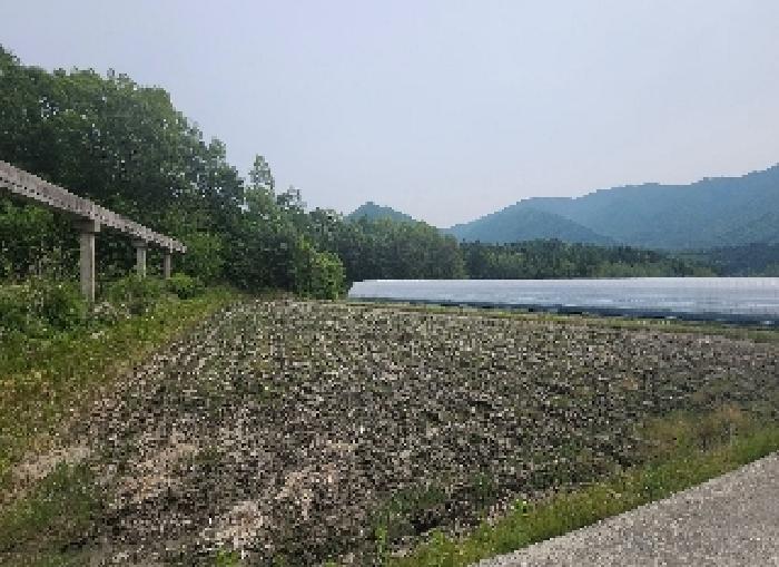 충북 영동군 매곡면 전 경매 물건 사진 4 · 2025타경10125