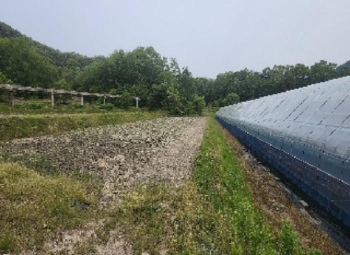 충북 영동군 매곡면 전 경매 물건 사진 5 · 2025타경10125