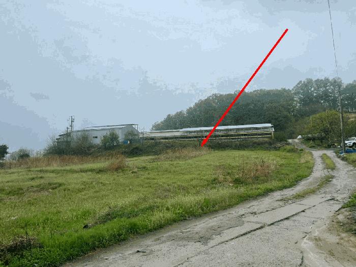 충북 옥천군 옥천읍 과수원 경매 물건 사진