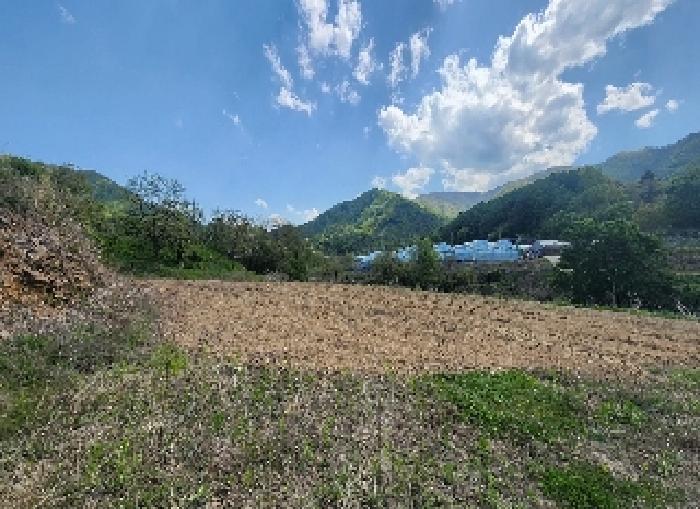 충북 영동군 매곡면 전 경매 물건 사진 5 · 2025타경10132
