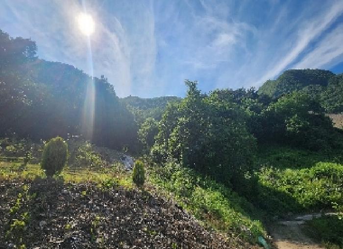 충북 옥천군 안내면 전 경매 물건 사진 2 · 2025타경10137
