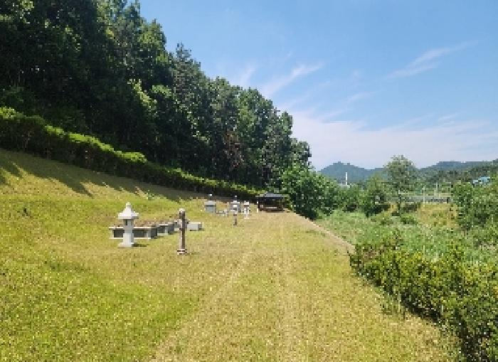 충북 영동군 용산면 전 경매 물건 사진 2 · 2025타경10148