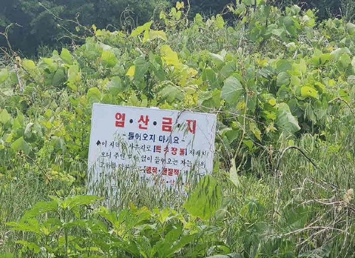 충북 옥천군 군북면 답 경매 물건 사진