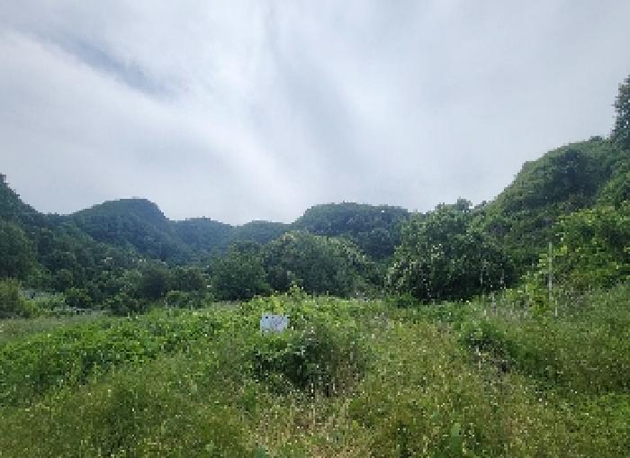 충북 옥천군 군북면 답 경매 물건 사진 2 · 2025타경10153