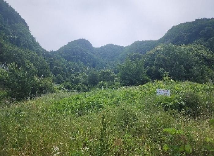 충북 옥천군 군북면 답 경매 물건 사진 3 · 2025타경10153