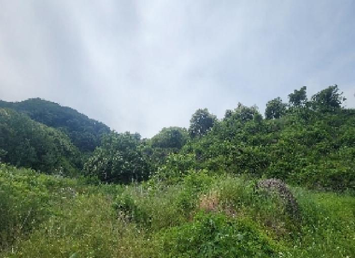 충북 옥천군 군북면 답 경매 물건 사진 4 · 2025타경10153