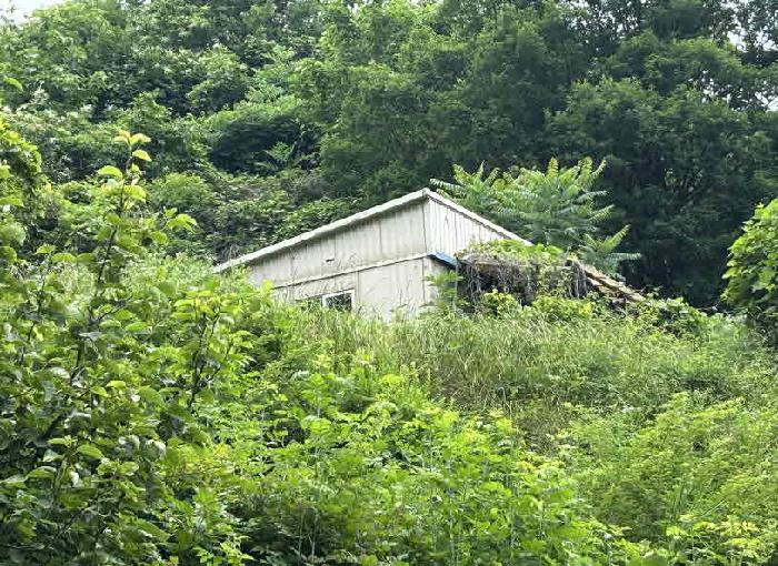 충북 옥천군 군북면 답 경매 물건 사진 5 · 2025타경10153