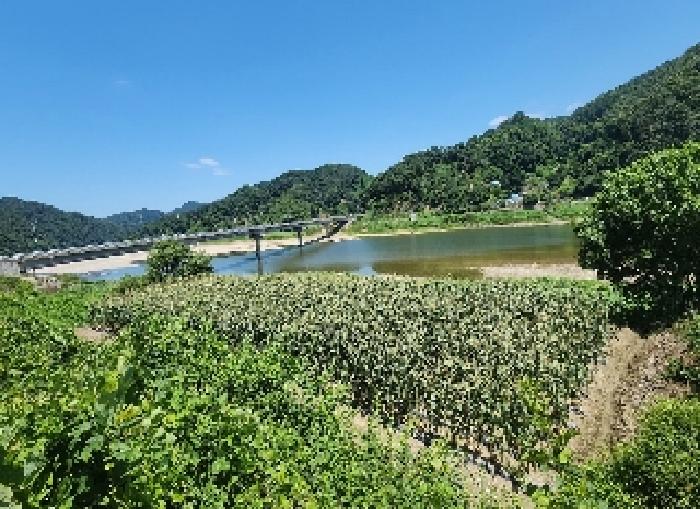 충북 옥천군 동이면 전 경매 물건 사진 2 · 2025타경10158