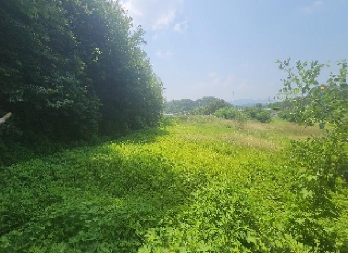 충북 옥천군 옥천읍 전답 경매 물건 사진