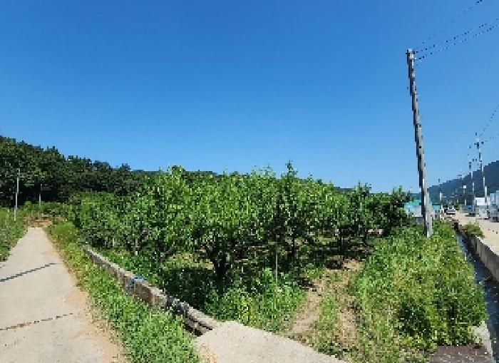 충북 영동군 매곡면 전답 경매 물건 사진