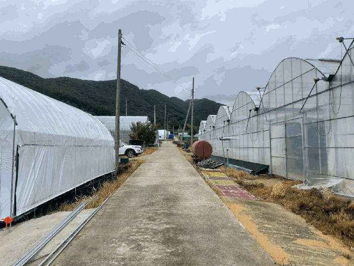 충북 영동군 추풍령면 답 경매 물건 사진 4 · 2025타경10164