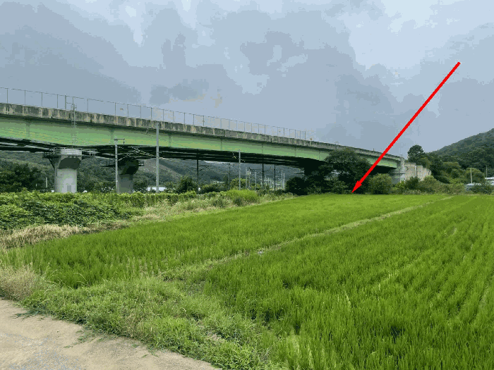 충북 영동군 추풍령면 답 경매 물건 사진 5 · 2025타경10164