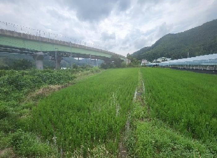 충북 영동군 추풍령면 답 경매 물건 사진