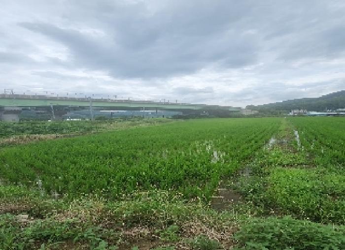 충북 영동군 추풍령면 답 경매 물건 사진 2 · 2025타경10164