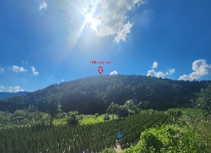 충북 옥천군 안남면 전 경매 물건 사진 2 · 2025타경10173